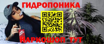 mdpv Краснознаменск