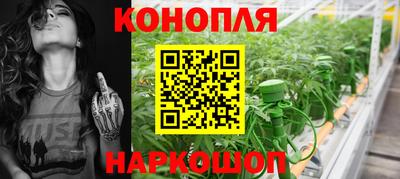 mdpv Краснознаменск