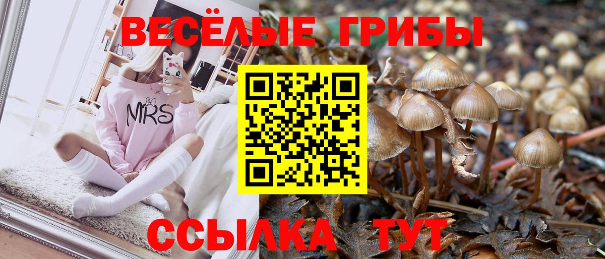 Галлюциногенные грибы Cubensis Тара