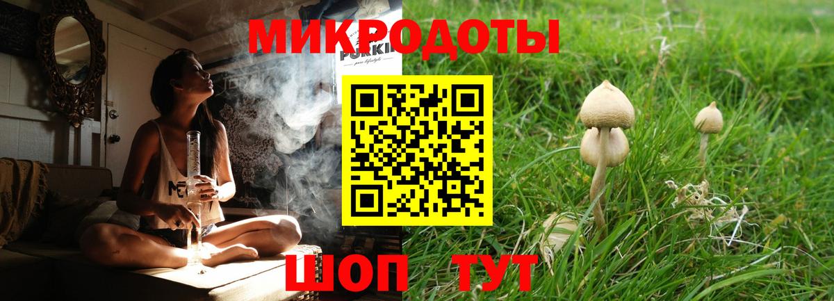 Псилоцибиновые грибы прущие грибы  Псилоцибиновые грибы мицелий  Вход с VPN  где найти наркотики  Тара 